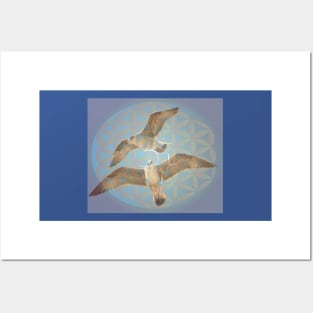 Seagulls pair om Posters and Art